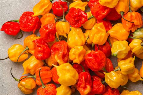 hublot pepper|Top 10 World's Hottest Peppers [2024 Update] New Hottest Pepper.